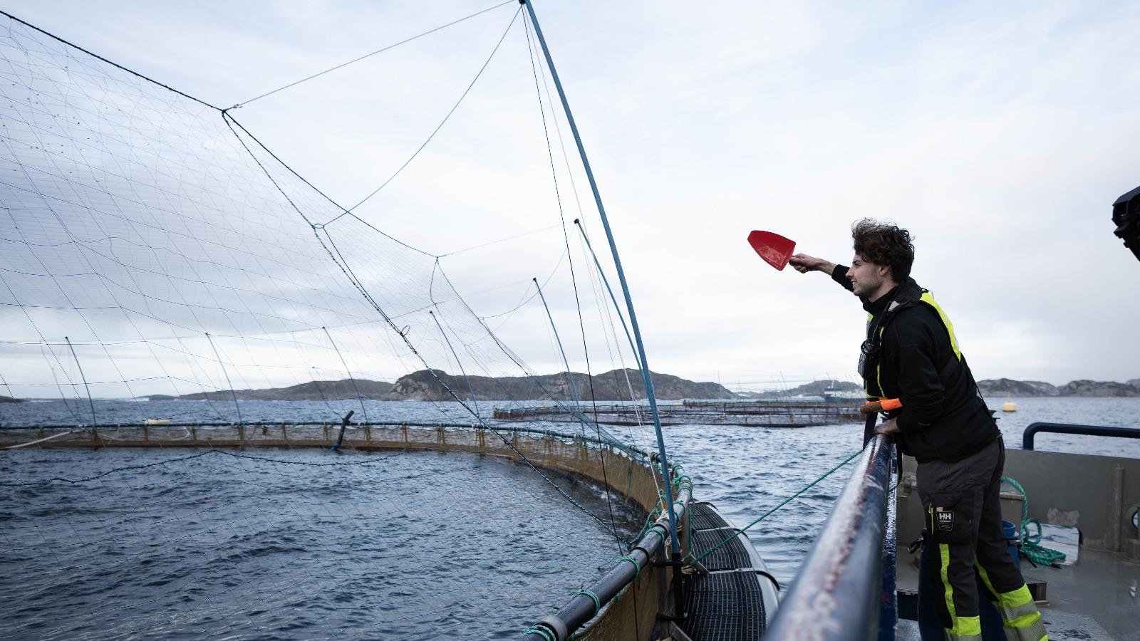 Person som jobber i sjømatindustrien