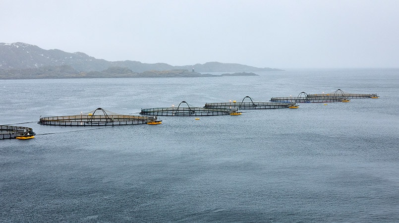 Seafood farm in Norway